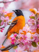 Bird Perched on Apple Tree Branch photo