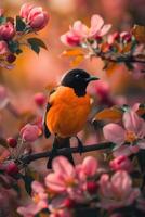 Bird on Apple Tree Branch photo