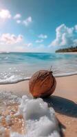 Coconut On A Sunny Beach photo