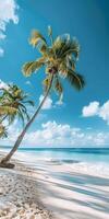 Tropical Beach Scene With Palm Trees on a Sunny Day photo