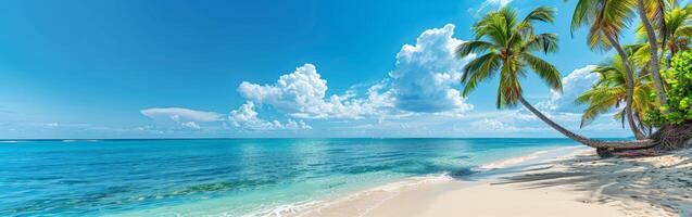 Tropical Beach Paradise With Palm Trees and Blue Skies photo