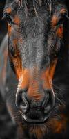 Close-Up of a Horse's Muzzle photo