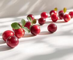 Long Line of Cherries With Leaves photo
