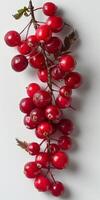 Cluster of Red Berries Hanging From Branch photo