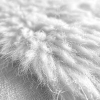 Close Up of White Fur Texture photo