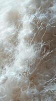 Close Up of White Fur Texture photo