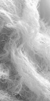 Monochrome Close-up of White Fur photo