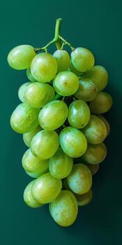 Cluster of Green Grapes on Green Background photo