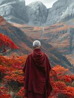 Buddhist Monk in Red Robe Contemplating Mountain Range photo