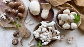 Assortment of various raw mushrooms on gray concrete background video