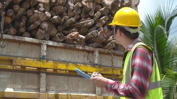 Asian male inspector counting sticks on truck Environmental wood industry concept video