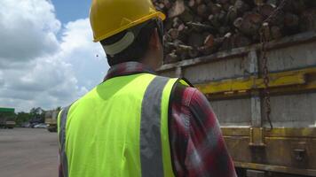 Asian male inspector counting sticks on truck Environmental wood industry concept video