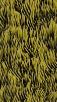 Background of moving wavy lines on surface. Design. Moving waves 3d field of grass or algae. Field of algae or grass with wavy streams video