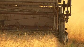 Close-up of a Vintage Combine Harvester in a Field. Wheat harvest. The combine mower mechanism cuts the spikelets of wheat. video