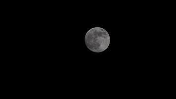 Full Moon On Dark Night, shines in the sky without clouds. Closeup shot of the Full moon moving across the sky video