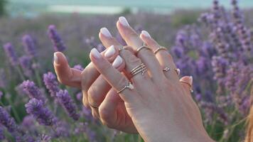 Closeup of Hands with Rings in a Lavender Field video