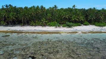 Drone view moving away from the shore. Maldives island tropical coastline beach with palms trees and ocean. video