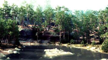 A small lake surrounded by trees and rocks photo