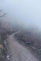 Annapurna Base Camp trekking road view in Nepal, background in mountain Nepal photo