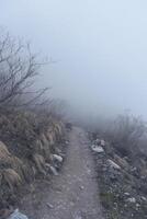 Annapurna Base Camp trekking road view in Nepal, background in mountain Nepal photo