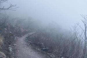 Annapurna Base Camp trekking road view in Nepal, background in mountain Nepal photo