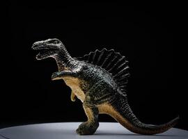 The Stegosaurus was a large and robust quadrupedal herbivorous dinosaur, with an arched profile. Spinosaurus is an extinct genus of spinosaurid theropod dinosaur photo