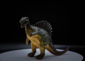 The Stegosaurus was a large and robust quadrupedal herbivorous dinosaur, with an arched profile. Spinosaurus is an extinct genus of spinosaurid theropod dinosaur photo
