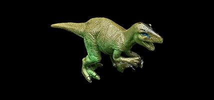 Velociraptor on a black background whose name means fast thief or fast bird of prey is an extinct genus of dromaeosaurid dinosaur that lived in the Upper Cretaceous, about 75 million years ago photo