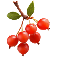 Buffaloberries bright red buffaloberries arranged in a triangular shape with some berries bursting and juice png