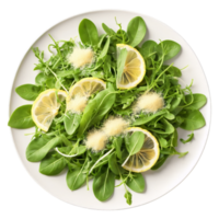 Arugula salad ingredients above arranged plate baby arugula shaved parmesan and lemon zest swirling dramatically png