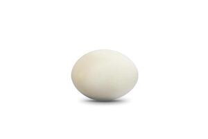 Natural White egg on white background. Clipping Paths. photo