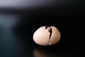 Isolated the little chick is hatching from inside the egg, black background., Clipping Paths. photo