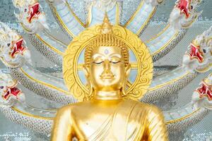 Naga Prok Buddha image sitting cross legs with legs locked together and having a King of Nagas behind it. photo