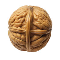 Detailed close-up of a walnut with its intricate shell texture, highlighting natural patterns, on a transparent background. png