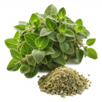 Fresh oregano leaves with a small pile of dried oregano, isolated on a transparent background. png