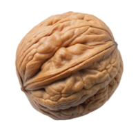 Close-up of a single walnut with a detailed shell texture, showing its natural pattern and structure, on a transparent background. png