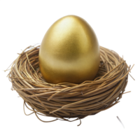 Nest holding a golden egg, representing wealth and success, isolated on a transparent background. png