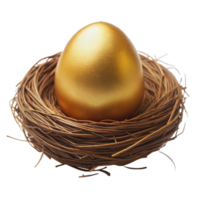 Golden egg placed in a nest, symbolizing wealth and prosperity, isolated on a transparent background. png