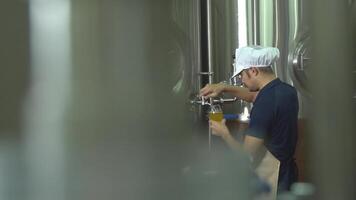 Asian male owner is inspecting the brewery's quality over a glass of craft beer. Ideas for making craft beer video