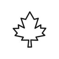 Maple leaf icon linear graphics sign vector