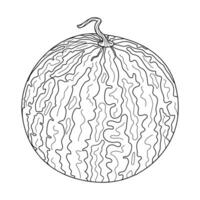 Fresh Whole watermelon line art. Cartoon ripe watermelon. Hand drawn Trendy doodle style isolated coloring page fruit organic natural dessert, healthy sweet red juicy summer fruit illustration vector