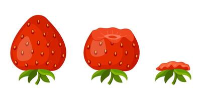 Strawberry eating steps icon set. Stages of biting red berry from Whole, bitten and entirely eaten. bite progression sequence animation of eaten. Hand drawn flat style isolated illustration vector