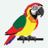animation of cute parrot on white background, in the style of animated gifs, clean and simple designs, comfycore vector