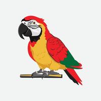 animation of cute parrot on white background, in the style of animated gifs, clean and simple designs, comfycore vector
