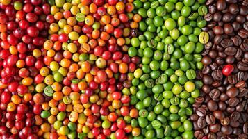 Close-up of coffee beans in various stages of processing photo