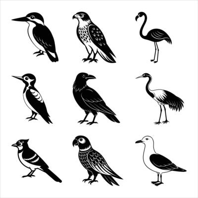 Nine Birds Icon Bundle - High Quality Silhouette Illustrations Set