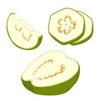 pises fresh guava. illustration. vector