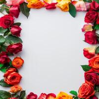 Colorful roses form a beautiful frame on a white background photo