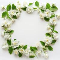 A frame of delicate white flowers arranged on a pure white background photo