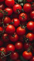 Close-up of a vibrant pile of red tomatoes photo
